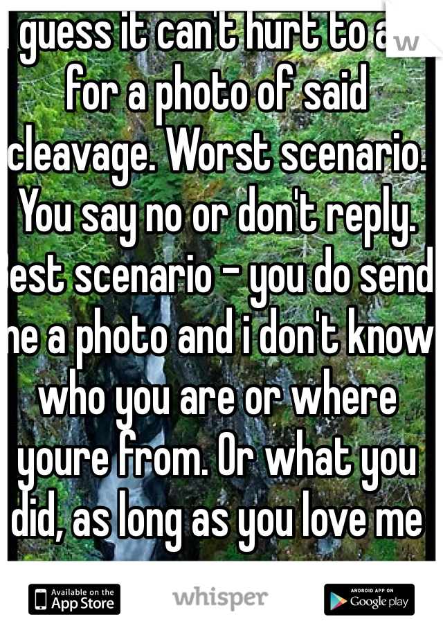 I guess it can't hurt to ask for a photo of said cleavage. Worst scenario. You say no or don't reply. Best scenario - you do send me a photo and i don't know who you are or where youre from. Or what you did, as long as you love me
