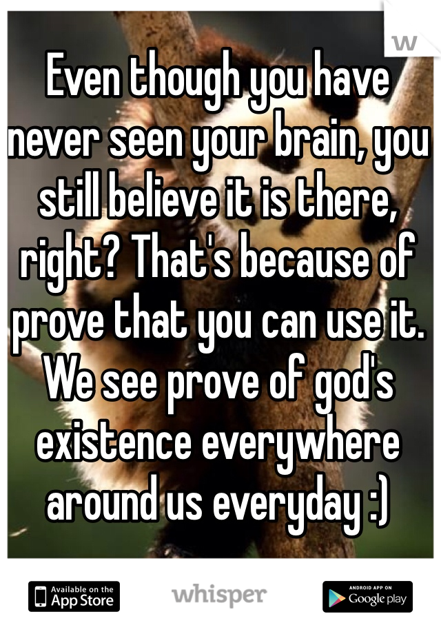 Even though you have never seen your brain, you still believe it is there, right? That's because of prove that you can use it. We see prove of god's existence everywhere around us everyday :)