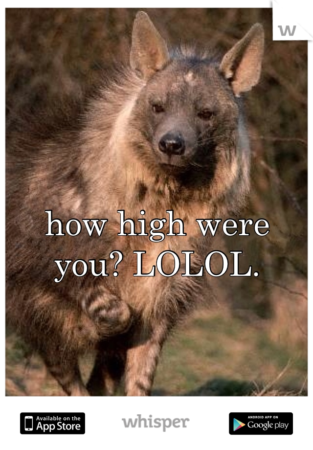 how high were you? LOLOL.