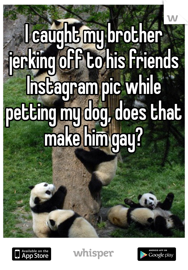 I caught my brother jerking off to his friends Instagram pic while petting my dog, does that make him gay? 