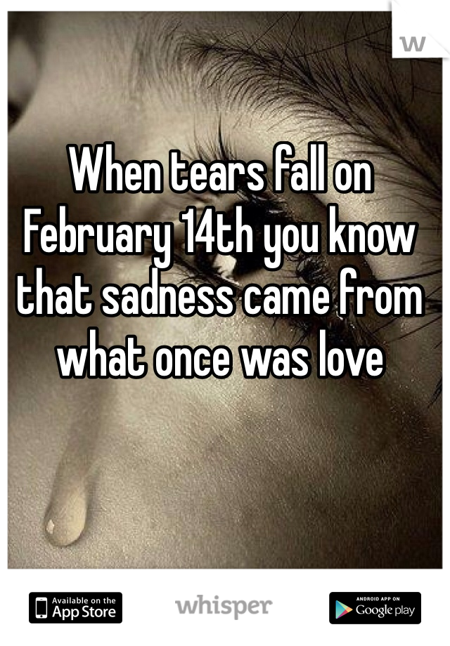 When tears fall on February 14th you know that sadness came from what once was love 