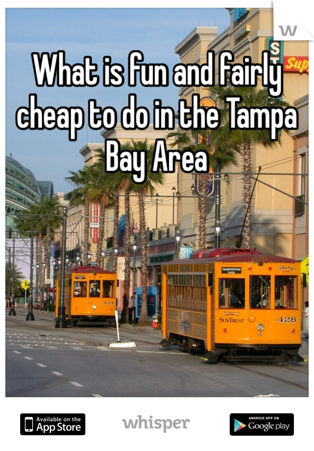 What is fun and fairly cheap to do in the Tampa Bay Area 