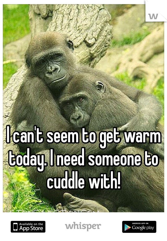 I can't seem to get warm today. I need someone to cuddle with! 