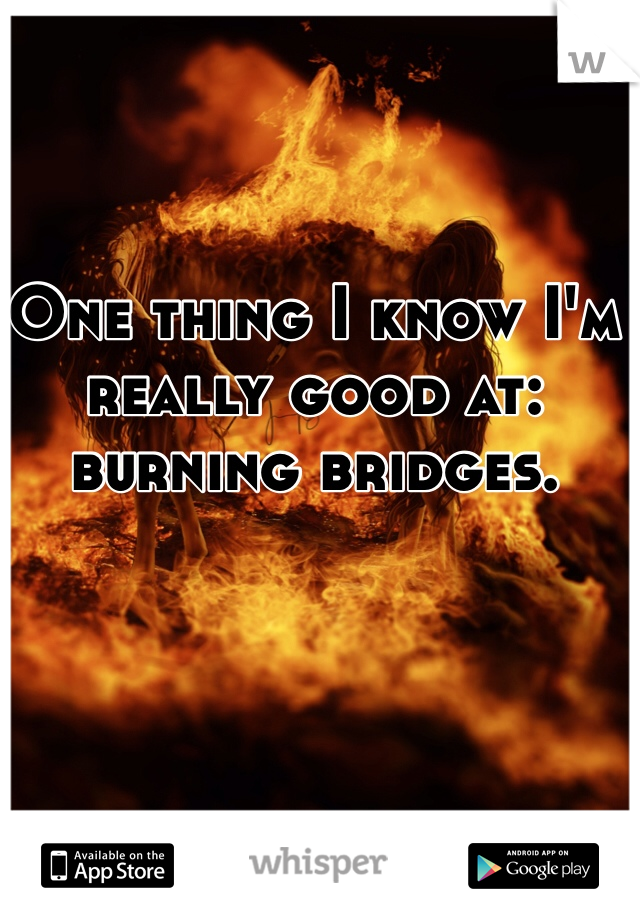 One thing I know I'm really good at: burning bridges.