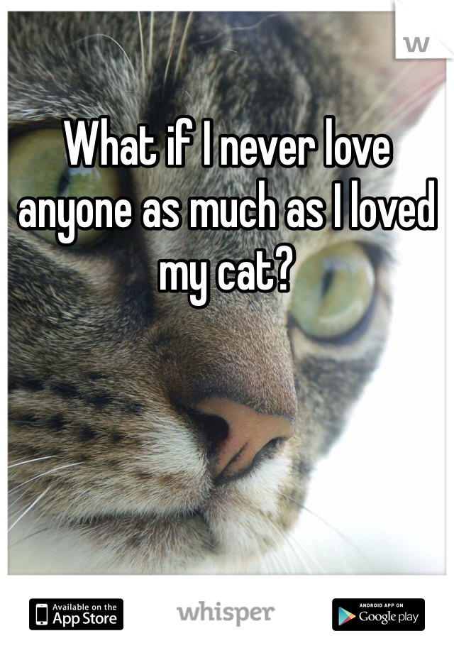 What if I never love anyone as much as I loved my cat?