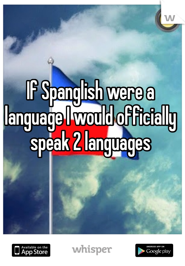 If Spanglish were a language I would officially speak 2 languages