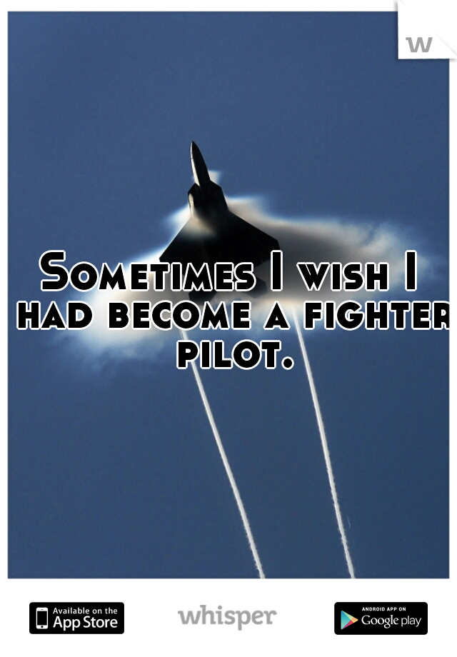 Sometimes I wish I had become a fighter pilot.