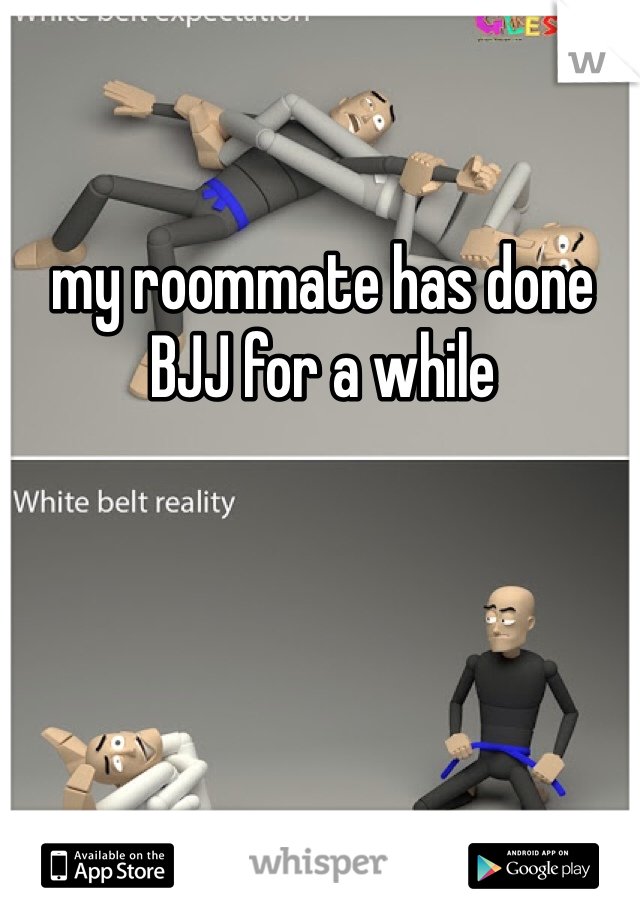 my roommate has done BJJ for a while