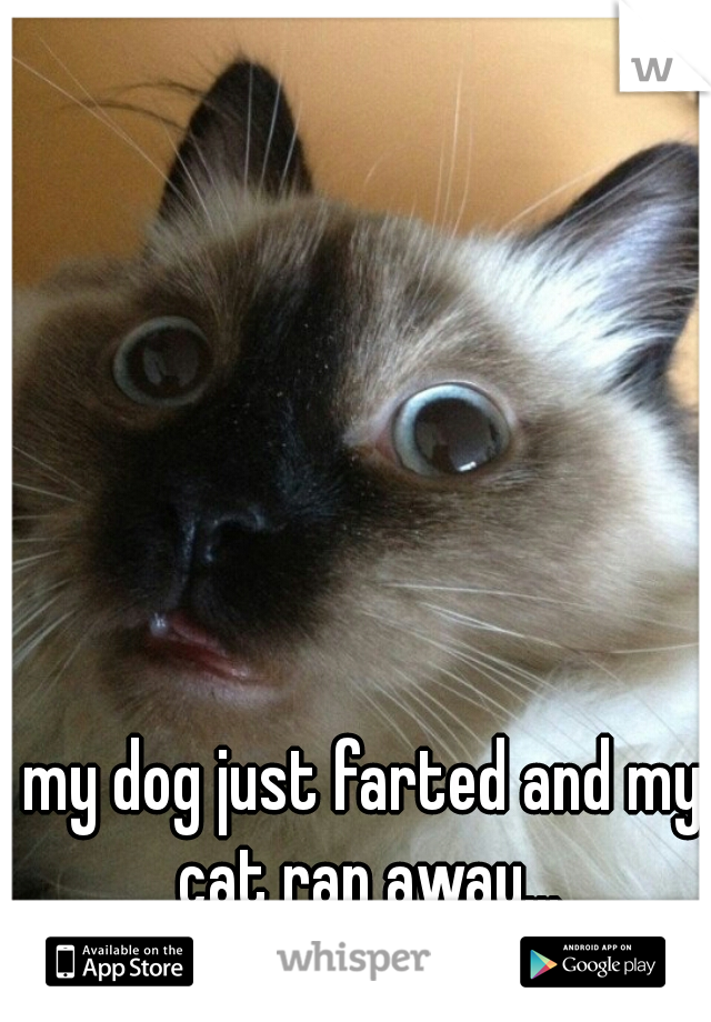 my dog just farted and my cat ran away...