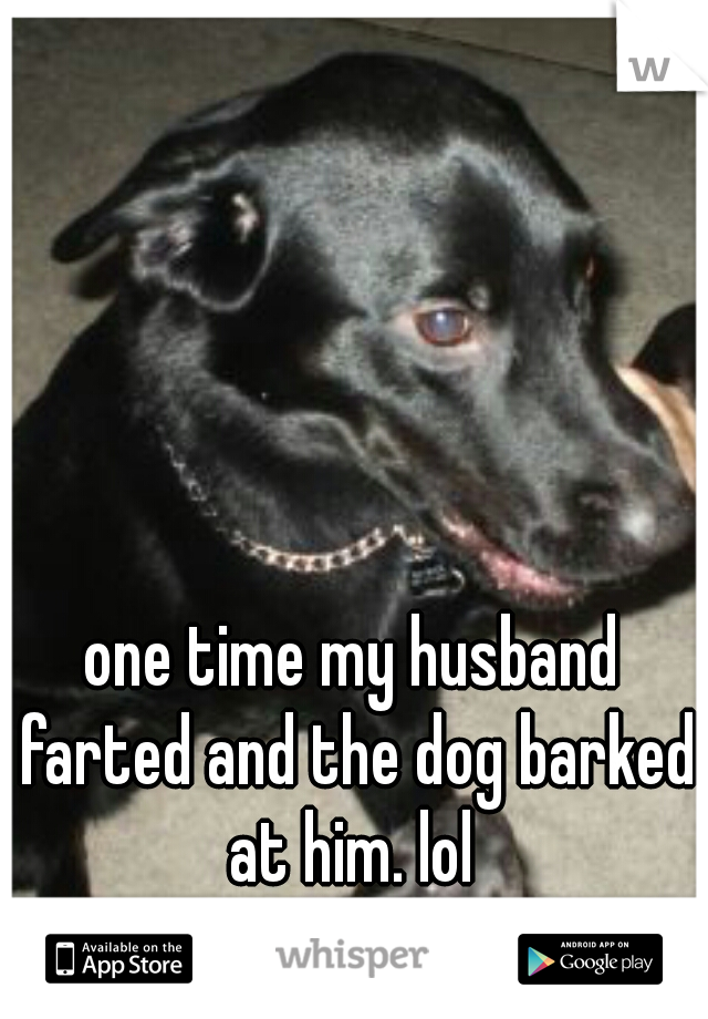 one time my husband farted and the dog barked at him. lol 