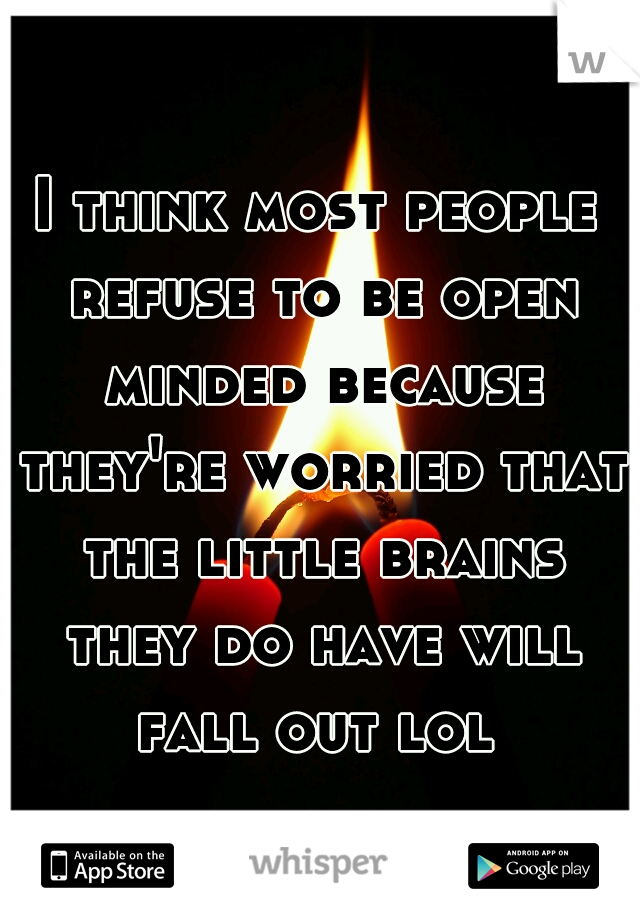 I think most people refuse to be open minded because they're worried that the little brains they do have will fall out lol 