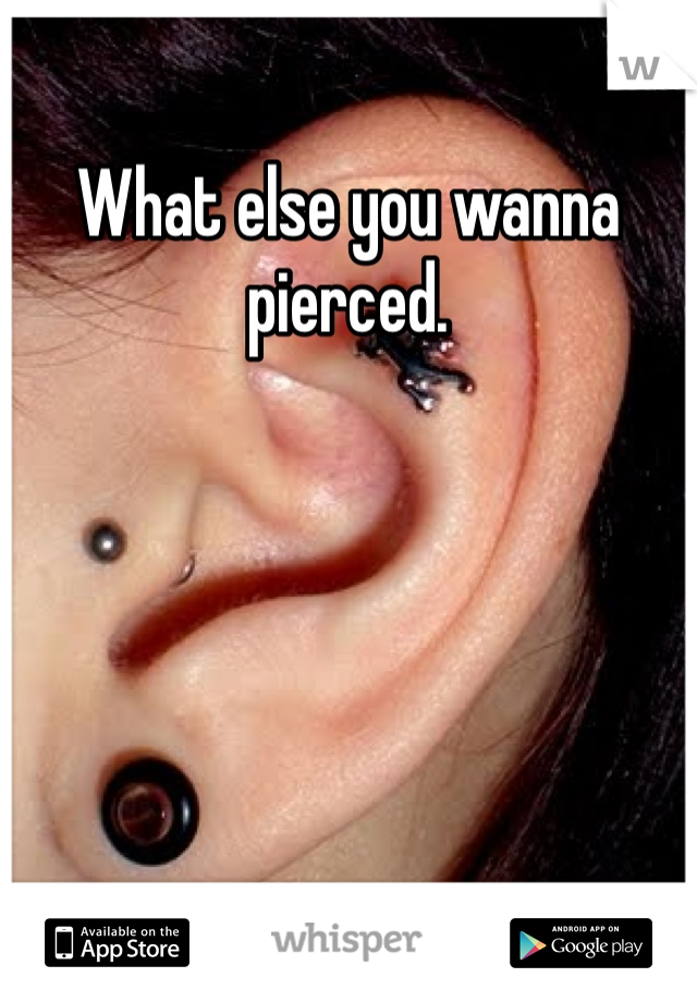 What else you wanna pierced. 