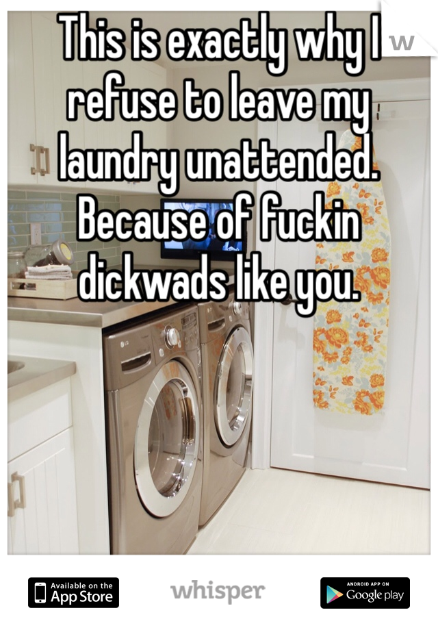 This is exactly why I refuse to leave my laundry unattended. Because of fuckin dickwads like you. 