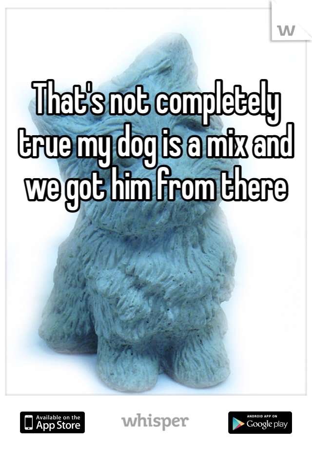 That's not completely true my dog is a mix and we got him from there