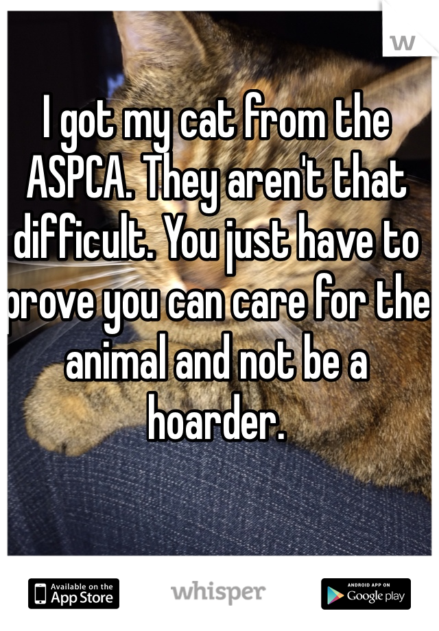 I got my cat from the ASPCA. They aren't that difficult. You just have to prove you can care for the animal and not be a hoarder. 