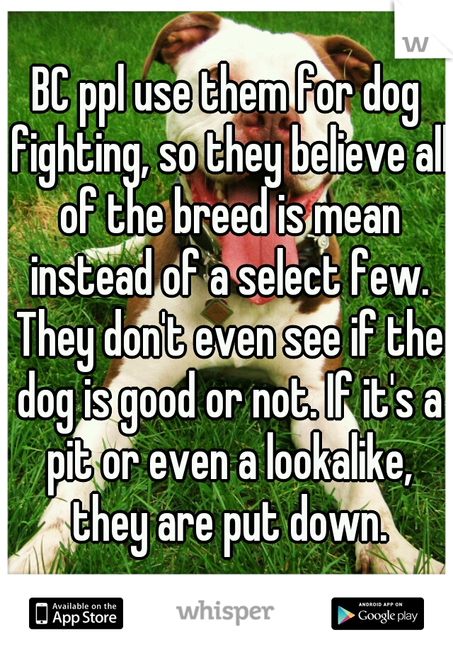 BC ppl use them for dog fighting, so they believe all of the breed is mean instead of a select few. They don't even see if the dog is good or not. If it's a pit or even a lookalike, they are put down.