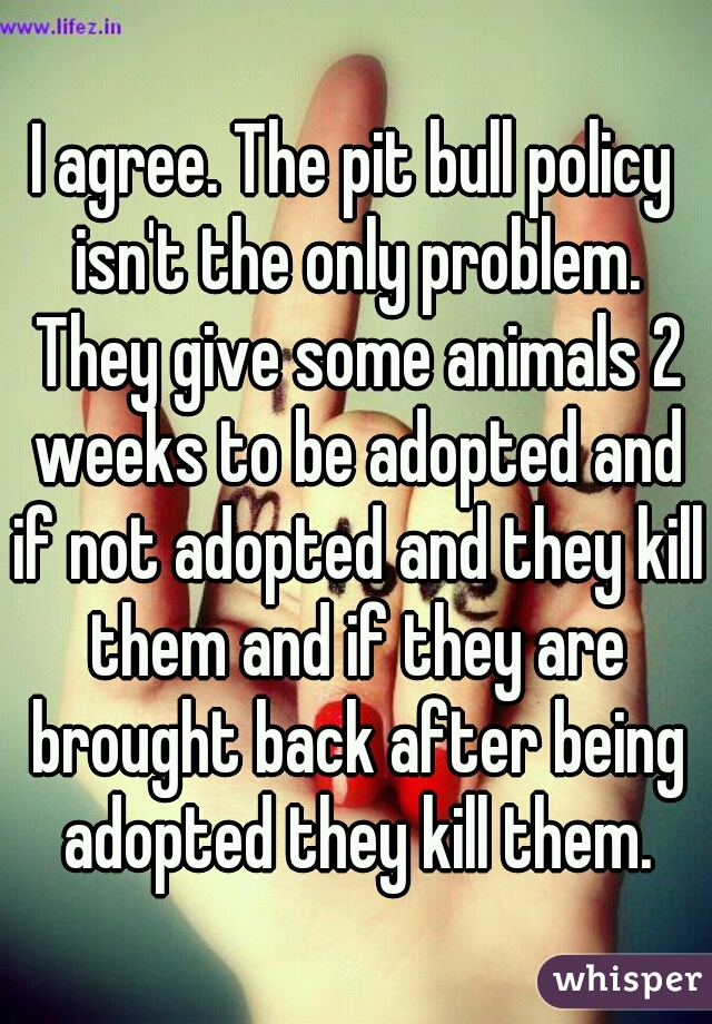 I agree. The pit bull policy isn't the only problem. They give some animals 2 weeks to be adopted and if not adopted and they kill them and if they are brought back after being adopted they kill them.