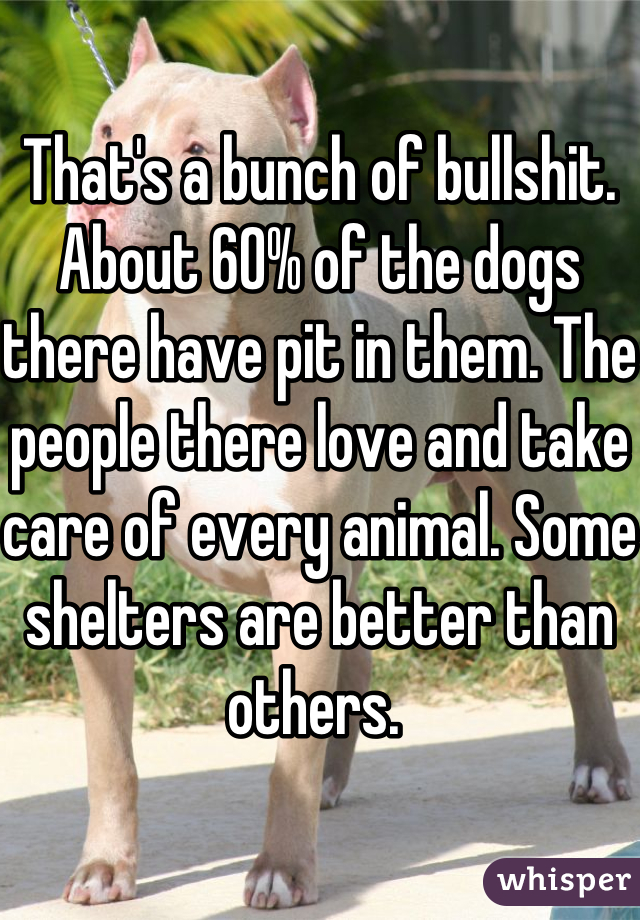 That's a bunch of bullshit. About 60% of the dogs there have pit in them. The people there love and take care of every animal. Some shelters are better than others. 
