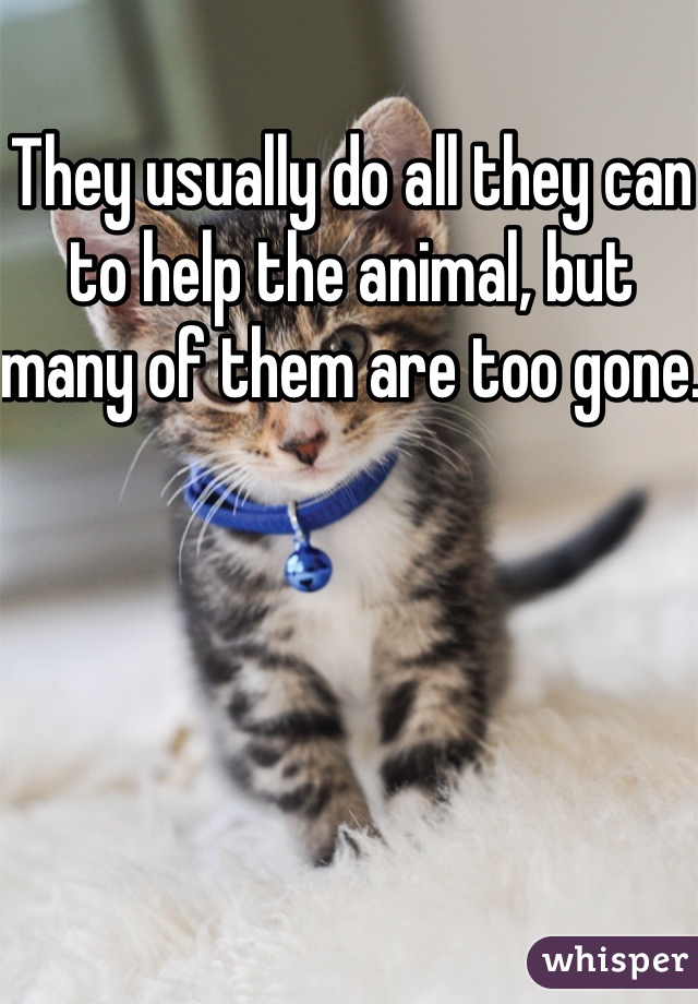 They usually do all they can to help the animal, but many of them are too gone. 