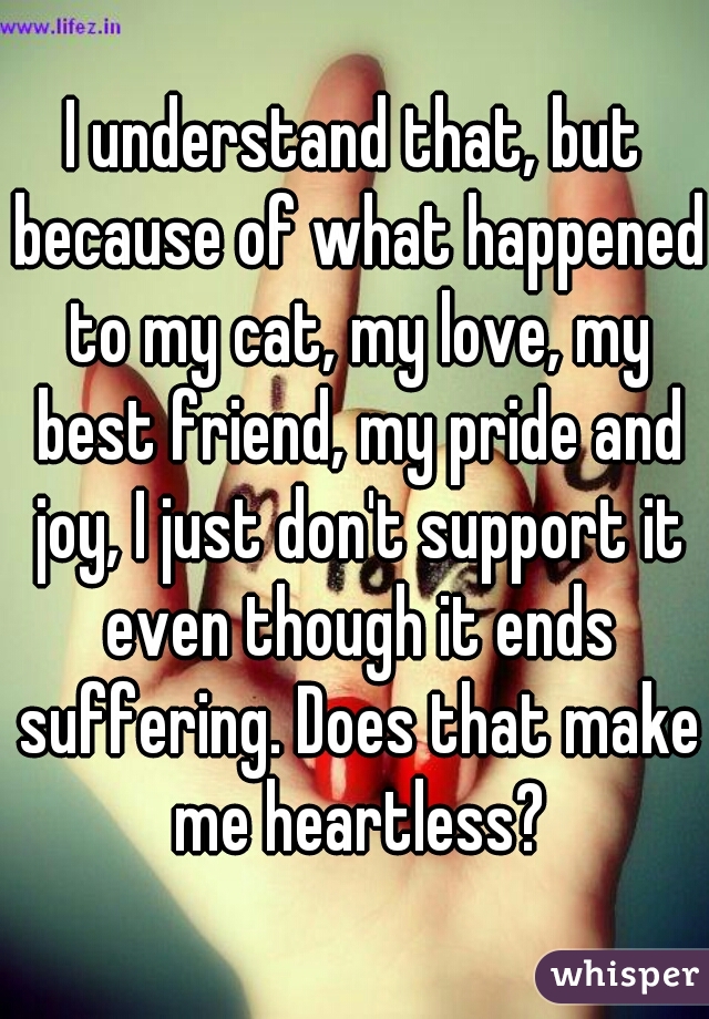 I understand that, but because of what happened to my cat, my love, my best friend, my pride and joy, I just don't support it even though it ends suffering. Does that make me heartless?