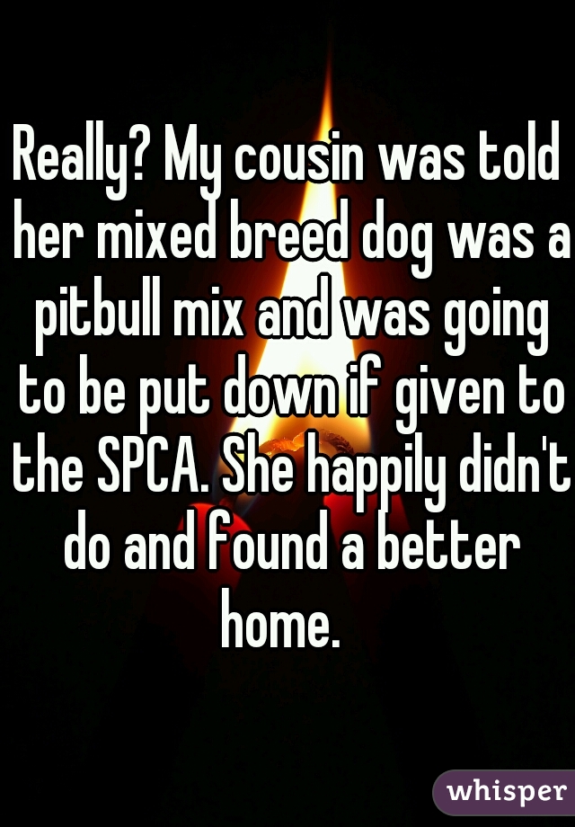 Really? My cousin was told her mixed breed dog was a pitbull mix and was going to be put down if given to the SPCA. She happily didn't do and found a better home.  