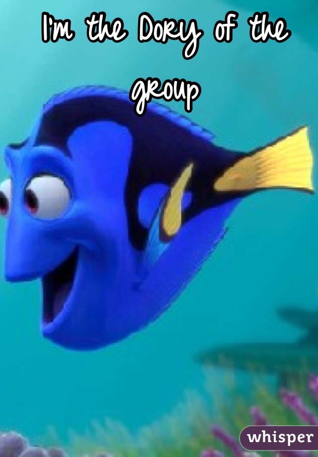 I'm the Dory of the group