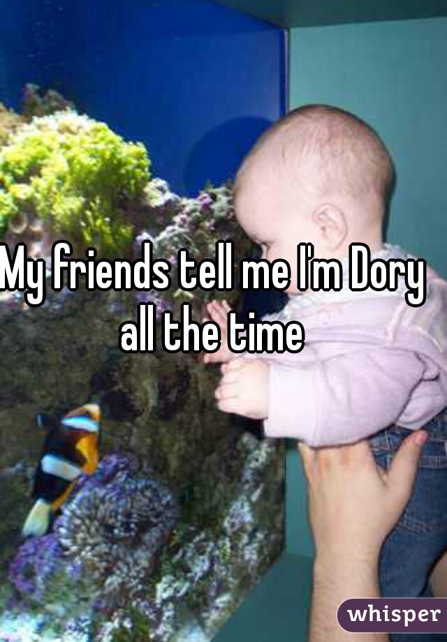 My friends tell me I'm Dory all the time 