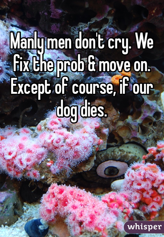 Manly men don't cry. We fix the prob & move on. Except of course, if our dog dies. 