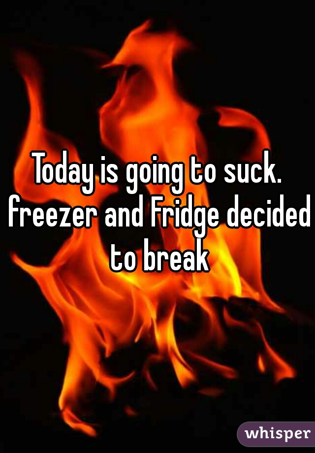 Today is going to suck. freezer and Fridge decided to break