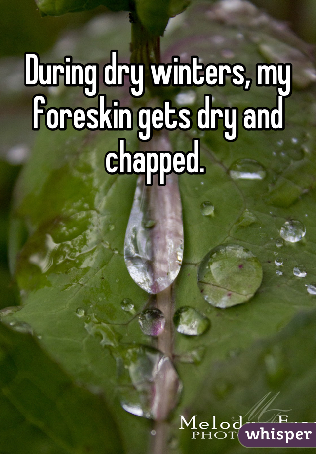 During dry winters, my foreskin gets dry and chapped. 