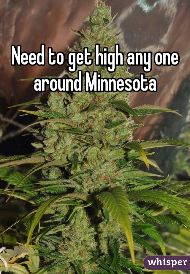 Need to get high any one around Minnesota 
