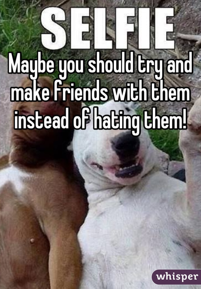 Maybe you should try and make friends with them instead of hating them!