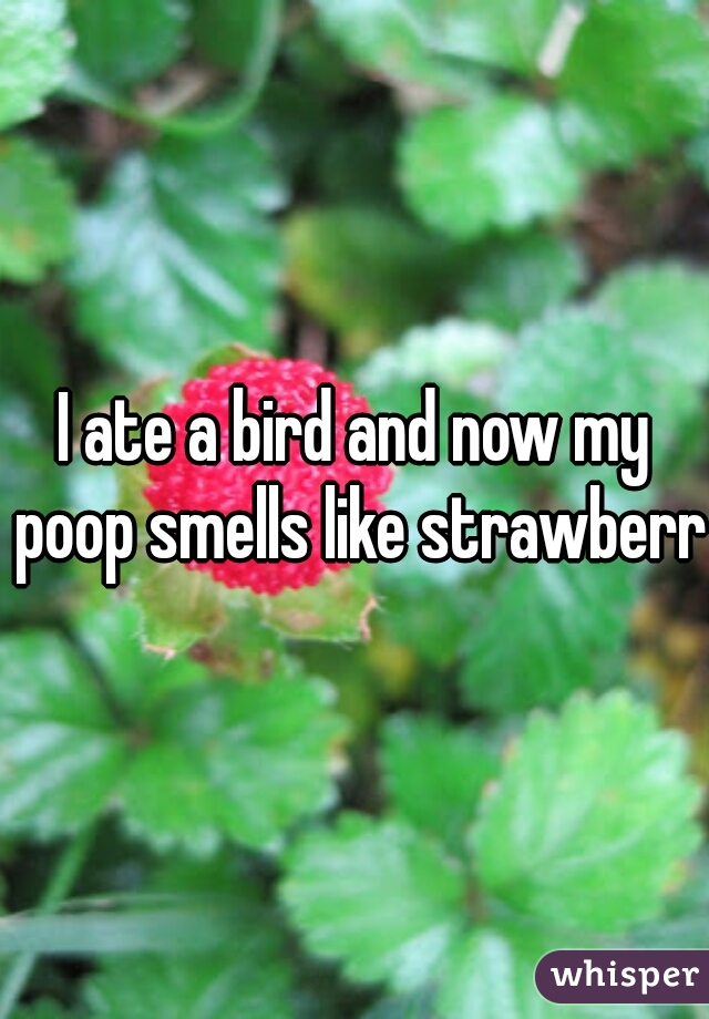 I ate a bird and now my poop smells like strawberry