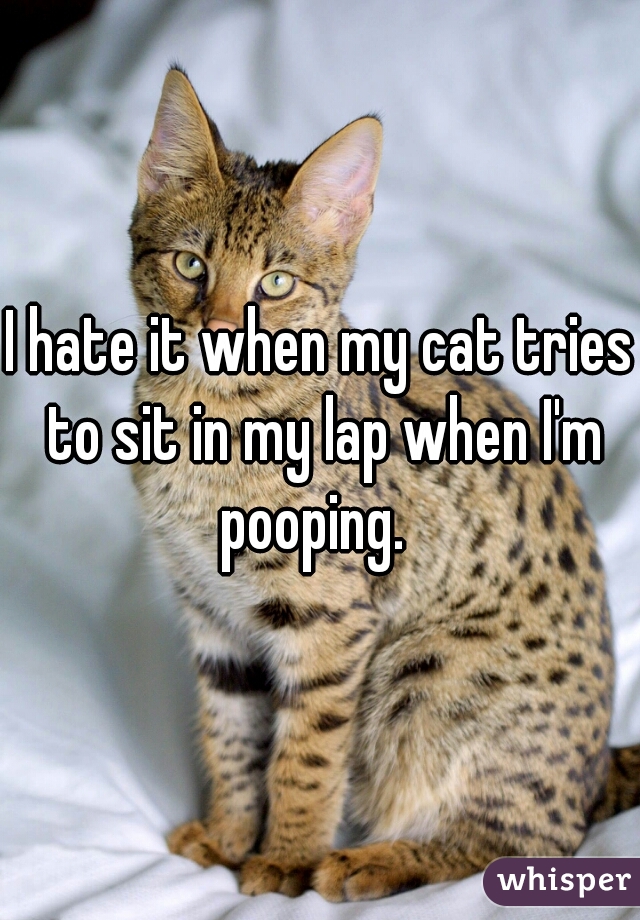 I hate it when my cat tries to sit in my lap when I'm pooping.  