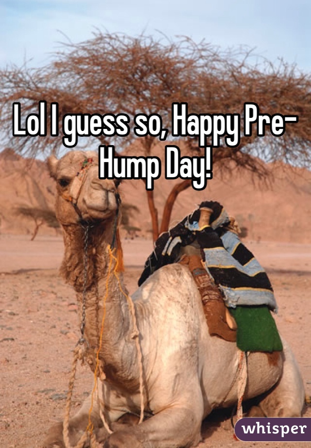 Lol I guess so, Happy Pre- Hump Day!