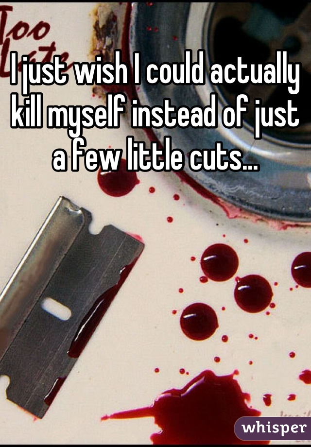 I just wish I could actually kill myself instead of just a few little cuts...