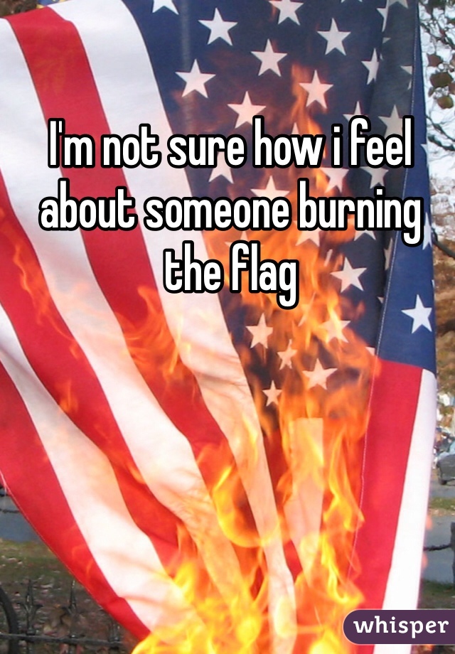 I'm not sure how i feel about someone burning the flag