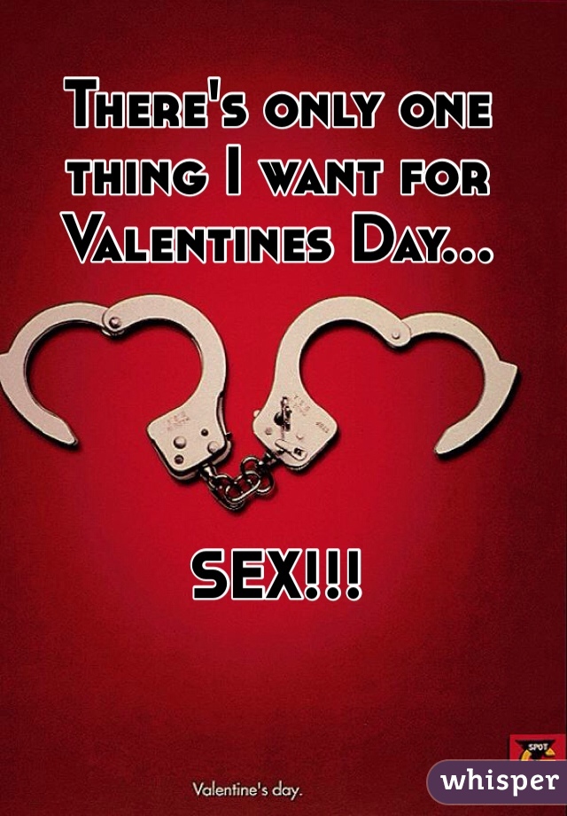There's only one thing I want for Valentines Day...




SEX!!!