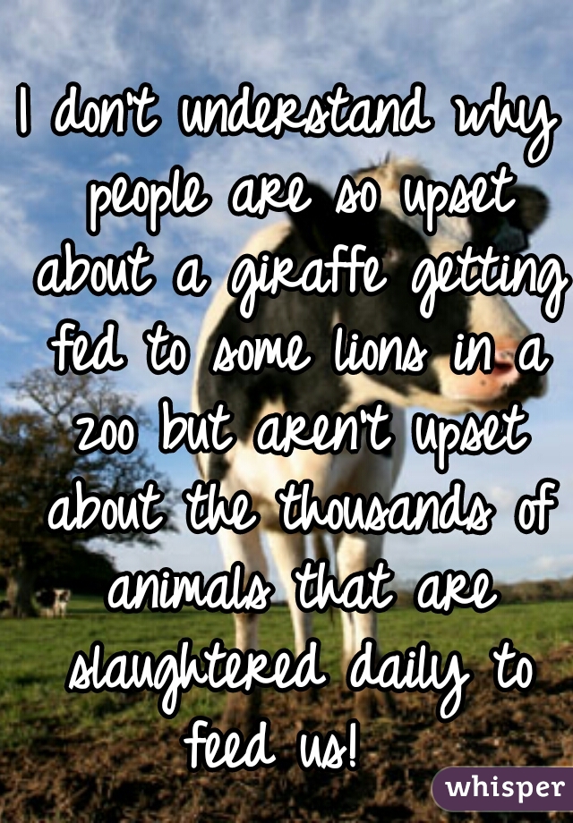 I don't understand why people are so upset about a giraffe getting fed to some lions in a zoo but aren't upset about the thousands of animals that are slaughtered daily to feed us!  