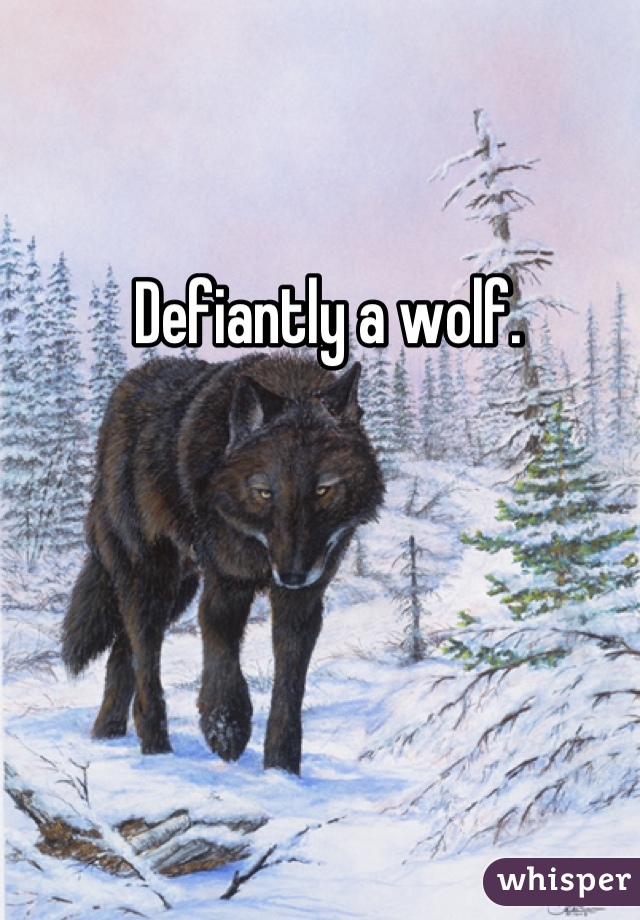 Defiantly a wolf. 