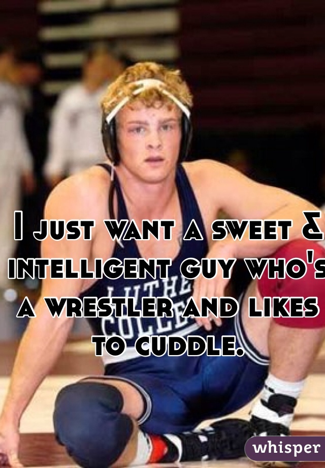 I just want a sweet & intelligent guy who's a wrestler and likes to cuddle.
