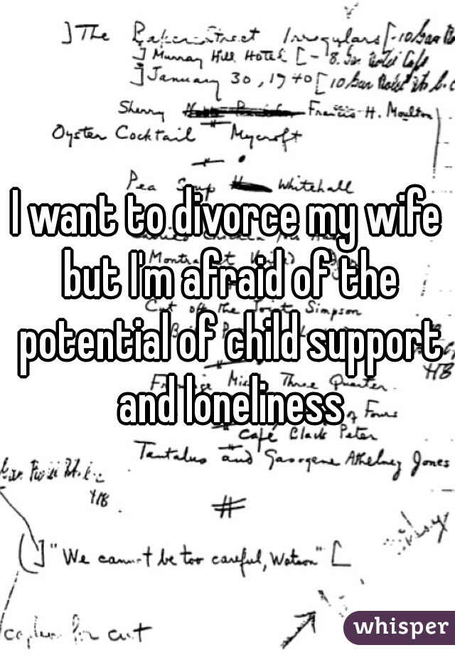 I want to divorce my wife but I'm afraid of the potential of child support and loneliness