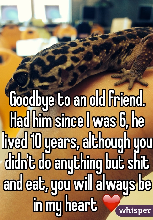 Goodbye to an old friend. Had him since I was 6, he lived 10 years, although you didn't do anything but shit and eat, you will always be in my heart ❤️
