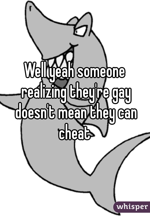 Well yeah someone realizing they're gay doesn't mean they can cheat 