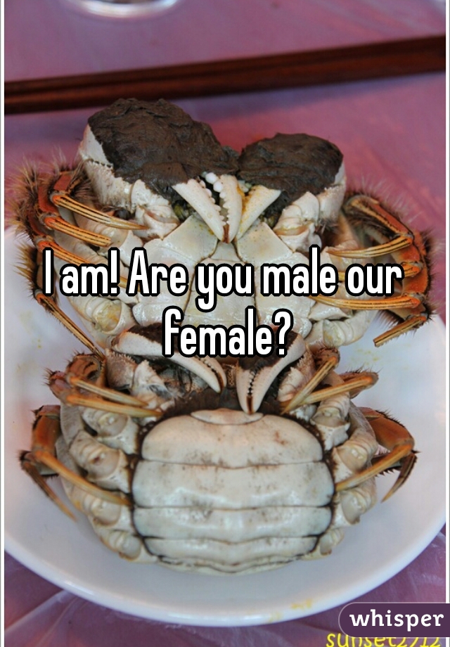 I am! Are you male our female?