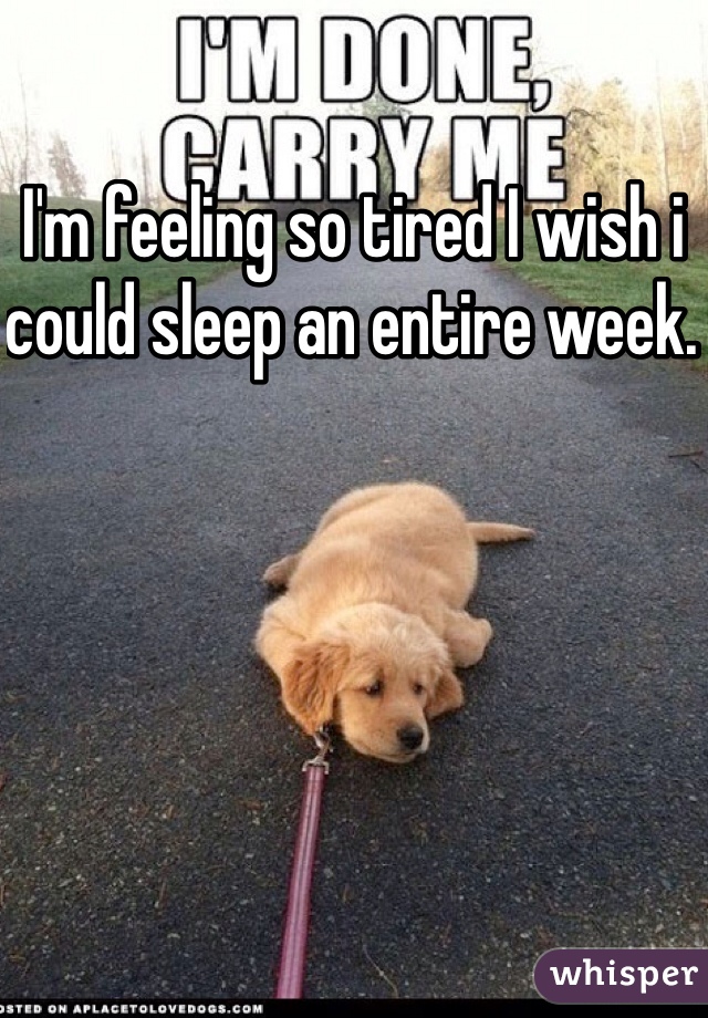 I'm feeling so tired I wish i could sleep an entire week. 
