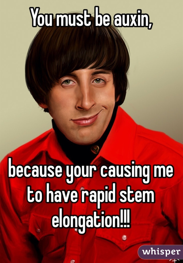 You must be auxin, 





because your causing me to have rapid stem elongation!!!