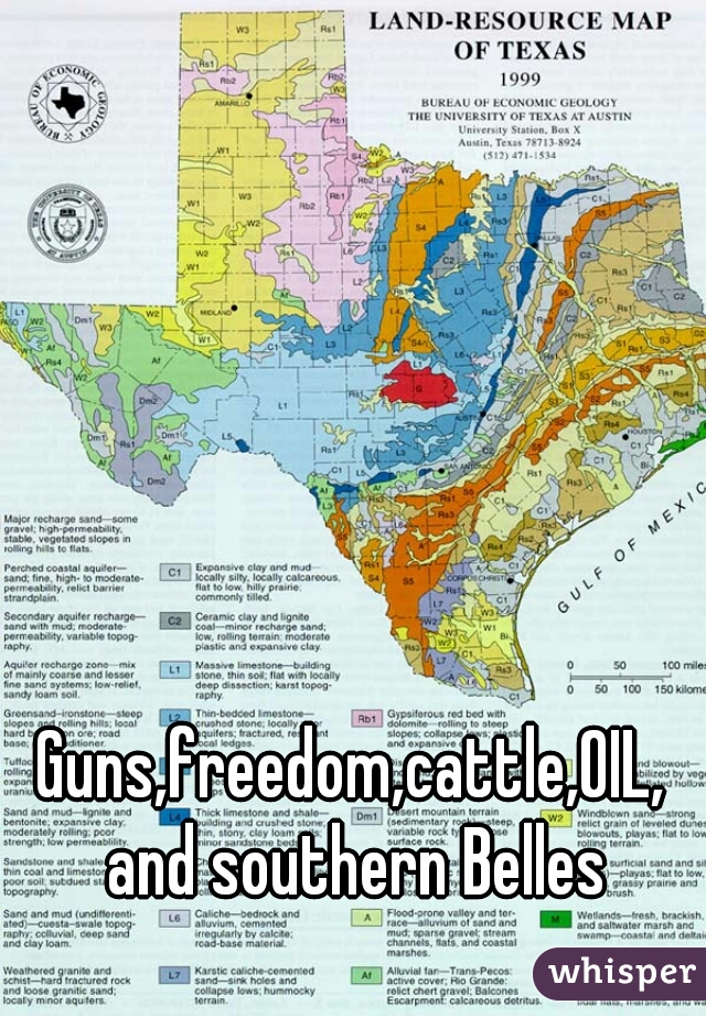 Guns,freedom,cattle,OIL, and southern Belles
