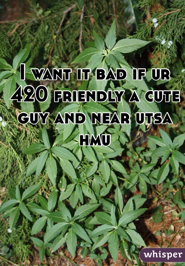 I want it bad if ur 420 friendly a cute guy and near utsa hmu 