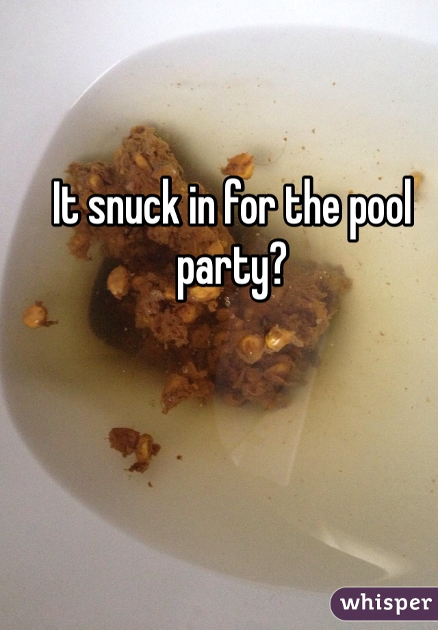 It snuck in for the pool party? 